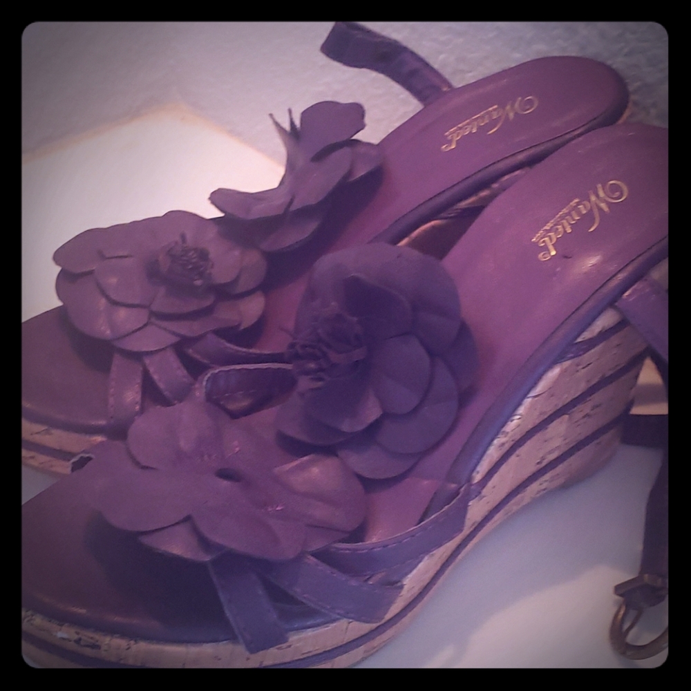 Purple flower wanted shoes